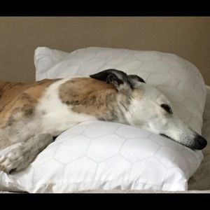 Meet your Posher, Deb